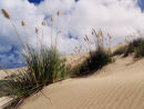 Bay Of Islands 2